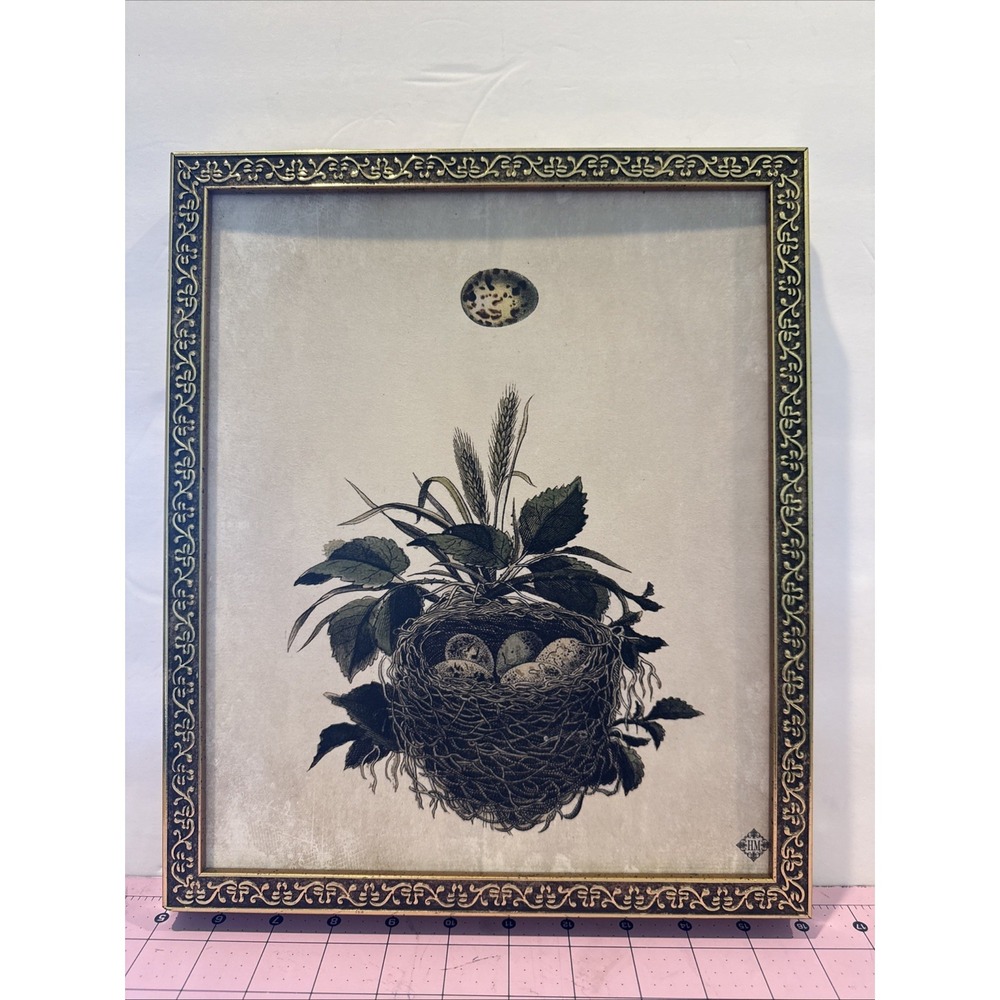 Framed Picture of Eggs in Birds Nest Hobby‎ Lobby